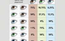 Таблица наследования цвета глаз