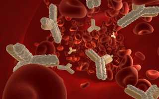 Антитела к микоплазме: какие бывают и почему их обнаруживают в крови.